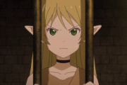 なろう系見て思うんだが、なんで奴隷がヒロインになるの？ ファンタジー王道は姫なんだが