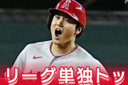 一日だけ大谷翔平になったワイ「す、すげぇええｗｗｗこの体やっばｗよーし」