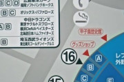 画像　球団別の甲子園ビジター席、やはりロッテがすごい！