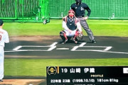【朗報】巨人山崎、1歳からプロ野球選手だったwww