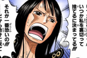 【ONEPIECE】そういえば、ロビンってこんなこと言ってたな