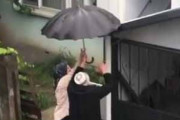 屋根の端っこに子ネコがいた。雨でびしょ濡れだ → やさしい老夫婦はこうします…