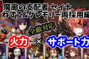 【パズドラ】セイナ使いたいんだけど裏魔廊いちばん強い編成って何？編成難易度は問わない【動画あり】