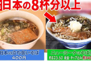 【画像】アメリカのきつねうどん３４００円ｗｗｗｗｗ