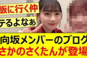 日向坂メンバーのブログにまさかのさくたんが登場!!【乃木坂46・日向坂46・川﨑桜・東村芽依】