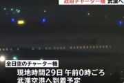 日本政府「武漢にチャーター機出すで」武漢の日本人「よかった、助かった…」政府「1人80000円（税別）な」