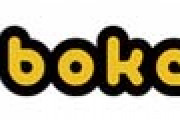 boketeでワイが面白いと思った回答を貼る