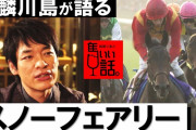 競馬民は麒麟川島のことどう思ってるの？