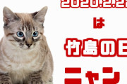 2020年2月22日は何の日！？　そう、竹島の日ニャン！