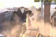 北海道でマイナス27.9℃を記録！ お湯も牛もタオルもすべてが凍る