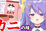 【悲報】Vtuberさん「本当にVtuberが好きならそのVtuberに彼氏がいても応援すべき」