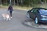 【動画】 犬を捨てる瞬間が防犯カメラに・・ 状況を理解していない犬が尻尾を振る　飼い主が特定され非難殺到
