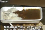 【闇深】ヒ素カレー事件の林真須美って