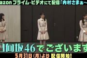 日向坂46、内村さまぁ～ずに呼ばれる