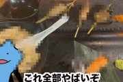 ユーチューバー「何もかもが酷いらしい居酒屋に行ってみるわ」 → 出てきた料理がマジでヤバすぎるｗｗｗｗｗ