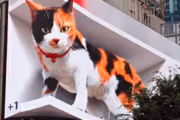 【画像】エラーが起きてしまった新宿の3D巨大猫wwww