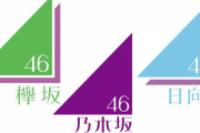 乃木坂欅坂日向坂全員同じ顔に見えるおじさん「乃木坂欅坂日向坂全員同じ顔に見えるわ～」
