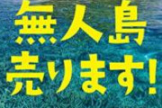 【緊急】中国人女性「沖縄の無人島買ったよ～❤」中国人たち「ええやん！領土が増えたやん！」