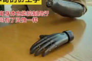 【衝撃映像】中国人が開発した義手、ガチで凄い。遠隔操作でアダムスファミリーの手みたくなるｗｗｗｗ