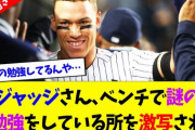 【悲報】アーロンジャッジさん、ベンチで謎のお勉強をしているところを撮られてしまう