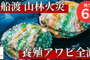 【速報】大船渡のアワビ養殖、震災と火災で壊滅も“あの人”が支援！奇跡の復活に「これは応援するしかない」「支援した」の声殺到中