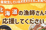 北海道の漁師「助けて、大量発生中のオオズワイガニ投げ売りしてるのに誰も気がついてないの！」