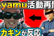 【速報】ついにヒカキンとsyamuさんのコラボが実現！