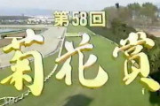 1997年の菊花賞馬マチカネフクキタルが死亡 26歳
