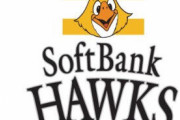 ソフトバンクの2軍 15勝4敗 勝率.789ｗｗｗｗｗｗｗｗｗｗ