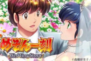めぞん一刻 Wedding Storyの評価と感想は控えめな演出でマッタリ打てそう