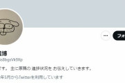 【悲報】冨樫義博さん、漫画を描かないのはサボりではなくガチで腰が悪化していたからだった