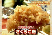 他県出身の彼に「さくらご飯」を出したら、彼「お前馬鹿にしてんの?!」と着拒＆大学で会っても無視。その後、新しい彼と付き合ったら、彼「裏切り者がぁ！」私「は？」→結果