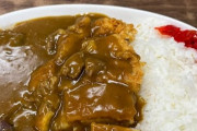 【画像】カツカレー650円 ＆ カツカレー食いに来たンゴ