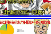 ゴキブリ「前半のswitchユーザーはやるソフトない！」←データありませんでしたｗｗｗｗ