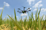 ドローン、無人トラクター、品種改良、新農法…政府の方針に備え農家も本気！