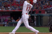 大谷翔平(27).280 30本 66打点 12盗塁 OPS. 1.068←今年はいい成績残したんやな