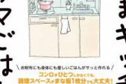 【画像】今話題の激狭アパート、意外と住みやすそう