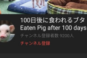 「100日後に食われるブタ」、登録者9000人突破