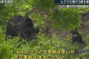マスの不漁が影響か…畑も被害 クマに襲われた男性の遺体発見 子連れのヒグマ3頭駆除