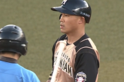 日ハム王柏融(28) .242 9本 48打点 OPS.750←この人が来年いそうな場所