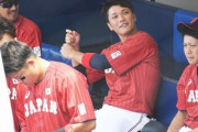 山田哲人、坂本勇人、柳田悠岐というプロ野球の一時代を築いた選手が一斉に衰えた事実