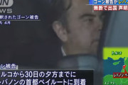 【日本脱出】カルロスゴーンの満面の笑みｗｗｗｗｗｗｗｗ