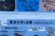 【画像】おたる水族館、ガンダムおじさんにしか伝わらない解説を掲示