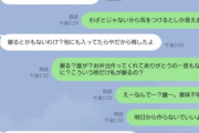 男「卵焼きに殻入ってたんだけど」女「わざとじゃないから」