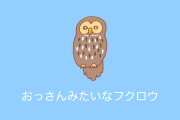 日本の「おっさんみたいなフクロウ」が可愛すぎる！【台湾人の反応】