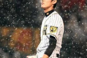 元気のないワイのために藤浪晋太郎の画像を貼るスレ