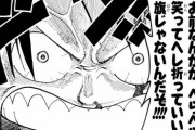 【疑問】2年後のルフィはかっこ悪いみたいな風潮あるけどさｗｗｗｗｗ