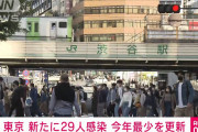 【動画】東京都で新たに29人感染、20代 7人、30代 6人、40代 4人、50代 3人、65歳以上は3人❓❗