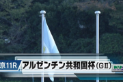 【アルゼンチン共和国杯】ブレークアップ＆田辺騎手がｷﾀ━━━━━(ﾟ∀ﾟ)━━━━━ !!