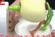彼女「りんご剥くね！」スッ　俺「え、ピピピ、ピーラー？え？w」